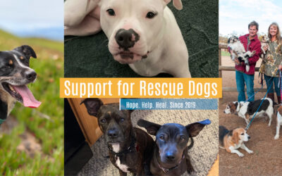 CARAAF: Support for Rescue Dogs